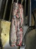 Кета ПБГ с нерестовыми изменениями