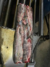 Кета ПБГ с нерестовыми изменениями