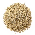 Райграс пастбищный (семена)