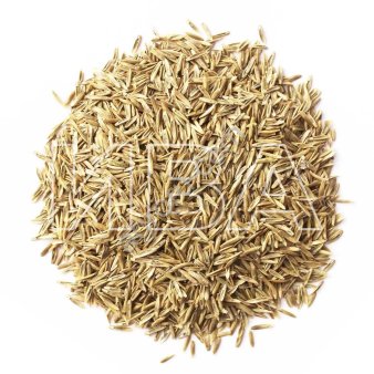 Райграс пастбищный (семена)