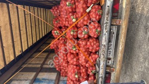 Лук от фермера большой обьем
