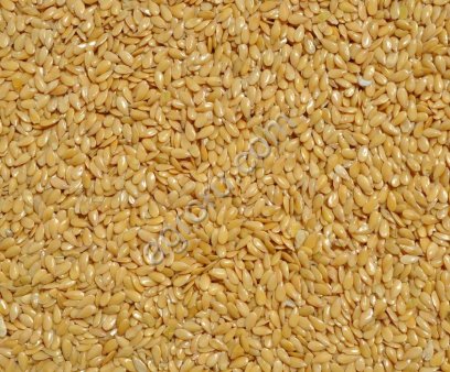 Лён золотистый