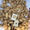 Картофель свежий урожай