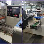 Упаковочная машина Prostor-250 c термопринтером