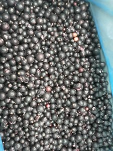 Замороженная ягода - смородина 1 класс.