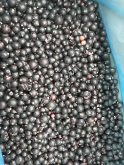 Замороженная ягода - смородина 1 класс.