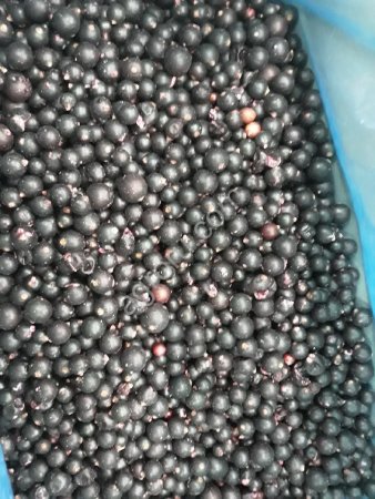 Замороженная ягода - смородина 1 класс.