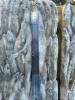 Корюшка нр 20+ икряная