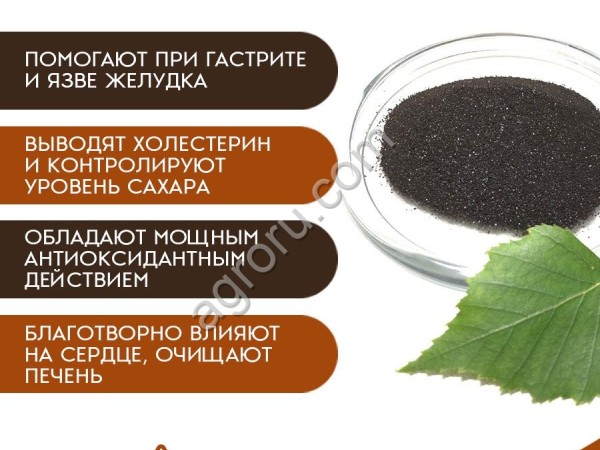 Экстракт чаги, сублимированный, уп.1000 грамм