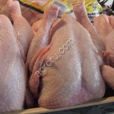 Курное мясо оптовые импорт в любую страну.