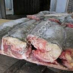 Организация,реализует свеже мороженную морскую рубу,кальмары,муку рыбную