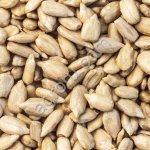 Ядро подсолнечника