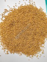 Горчица белая