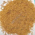 Горчица белая