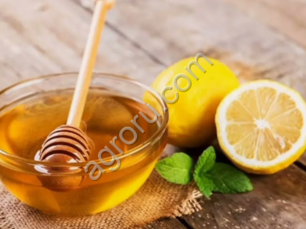 Мёд с Лимоном