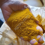 Глютен кукурузный