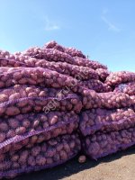 Картофель красный и белый