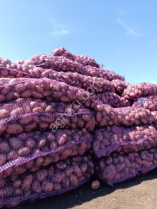 Картофель красный и белый