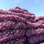 Картофель красный и белый