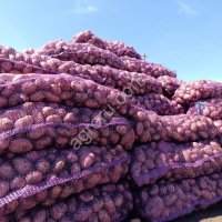 Картофель красный и белый