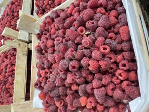 Замароженный малина Экстра