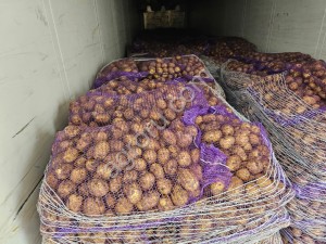 Картофель