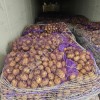 Картофель