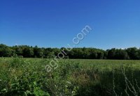 Земельный участок 2га с/х