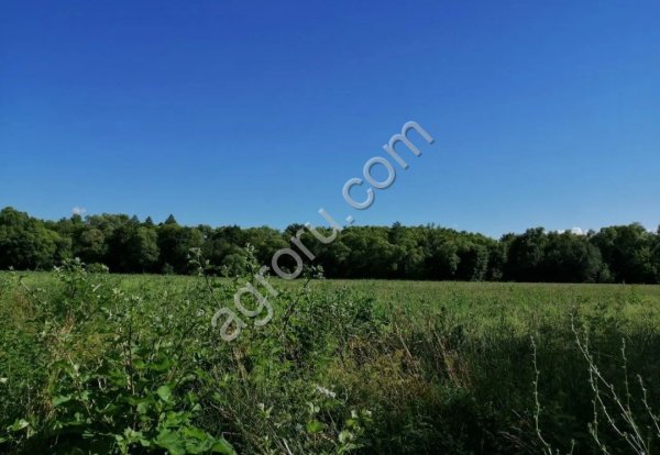 Земельный участок 2га с/х