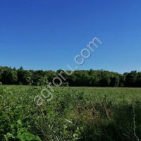 Земельный участок 2га с/х