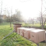 тара для пчелопакета