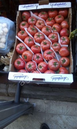 Помидоры