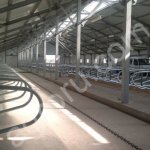 Строительство новое проектирование и реконструкция действующих коровников