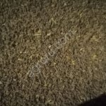 Фацелия ГОСТ