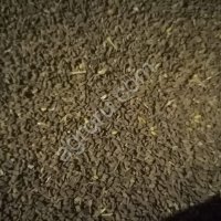 Фацелия ГОСТ