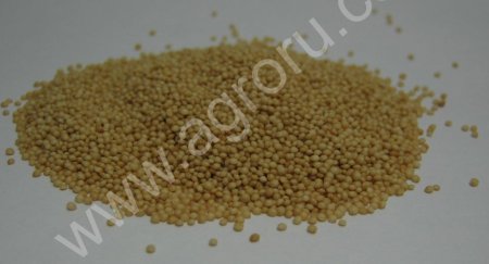 Амарант Семена (посевные, отобранные) Гигант 1 кг