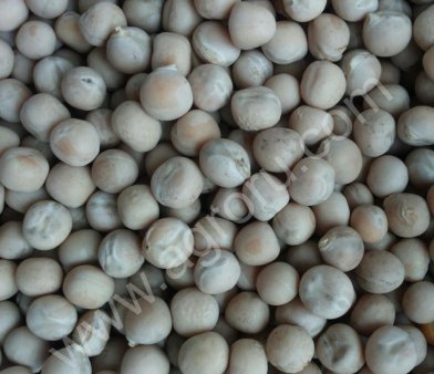 Семена Горох