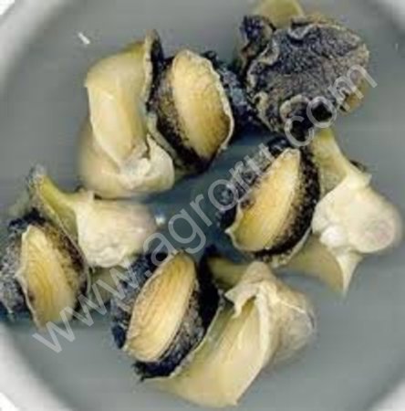 Мясо трубача, очищенное, отбеленное