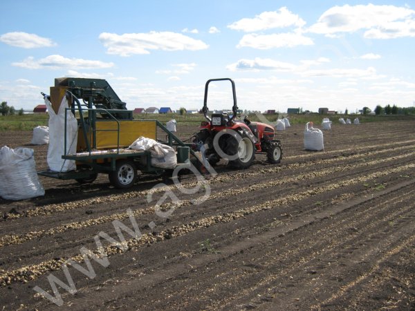 Лук-выбор на перо