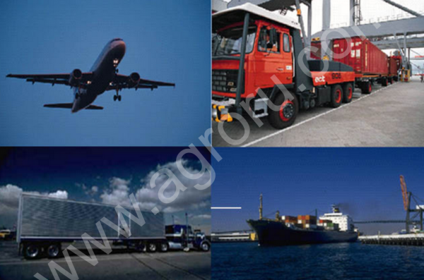 Услуги по логистики.