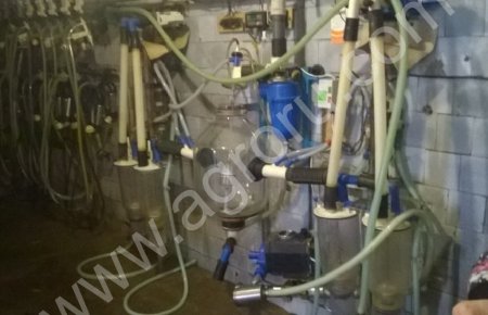 Доильные установки с молокопроводом УДМ-100