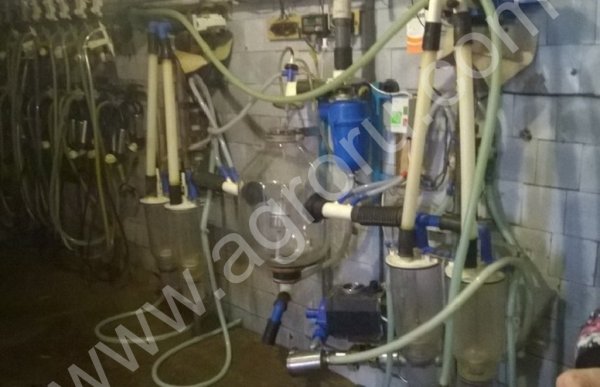 Доильные установки с молокопроводом УДМ-100