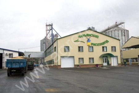 Рис Ту ГоСТ Фасованный и сырец