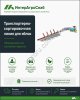 Автоматическая сортировочная линия SEMER для яблок и фруктов