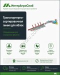 Автоматическая сортировочная линия SEMER для яблок и фруктов