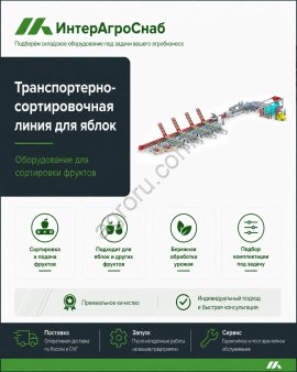 Автоматическая сортировочная линия SEMER для яблок и фруктов
