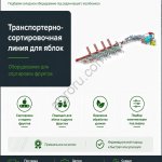 Автоматическая сортировочная линия SEMER для яблок и фруктов