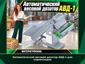 Автоматический весовой дозатор АВД-1 для корнеплодов