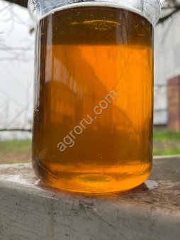 Масло подсолнечное