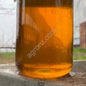 Масло подсолнечное